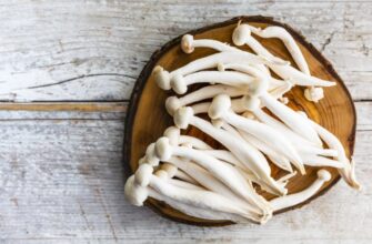 Як готувати гриби шимеджі білі: рецепти та поради для початківців