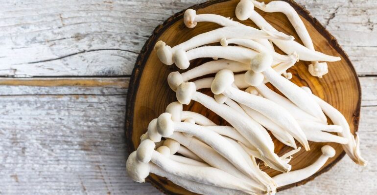 Як готувати гриби шимеджі білі: рецепти та поради для початківців