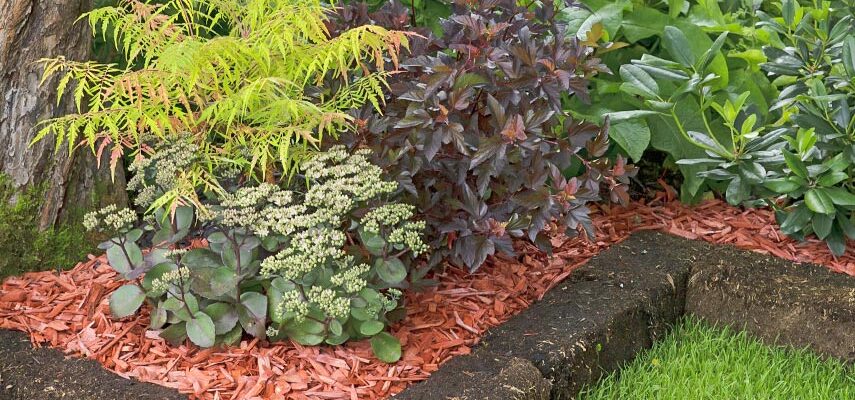 Що краще використовувати як підкладку під мульчу: практичні поради