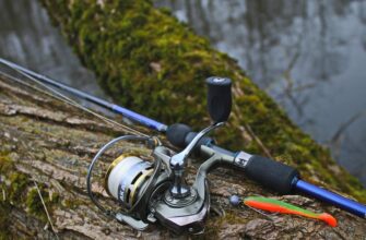 Найкращі приманки для лову хижої риби: детальний огляд і корисні поради