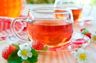 Відвар із суниці: корисні властивості та його вплив на здоров’я