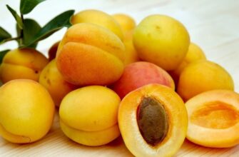 Значення та тлумачення сну: їсти абрикоси уві сні – до чого це?