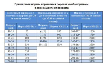 Скільки важить півтора місячне поросятко: точні норми та поради