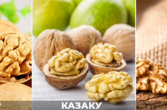 Де найкраще росте волоський горіх: оптимальні умови для зростання