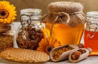 Мед для бджіл: Значення та роль у житті вулика