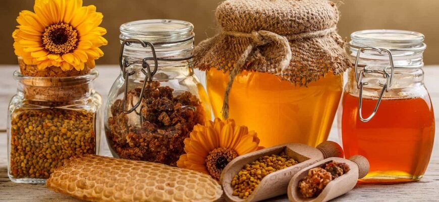 Мед для бджіл: Значення та роль у житті вулика