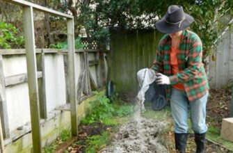 Як ефективно застосовувати крейду для підживлення садових рослин