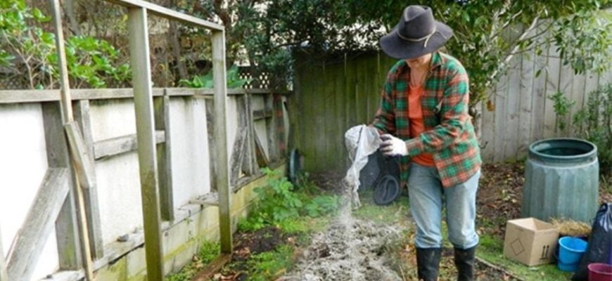 Як ефективно застосовувати крейду для підживлення садових рослин