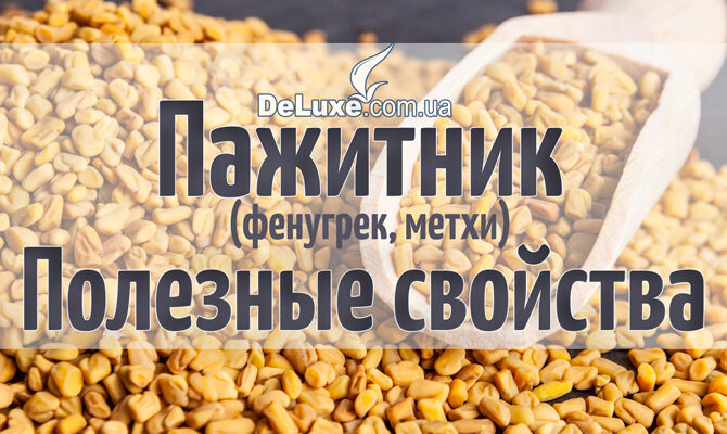 Як ефективно використовувати приправу пажитник у кулінарії та медицині