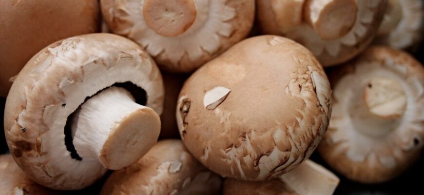 Чи можна їсти сирі шампіньйони: безпечність та користь продукту