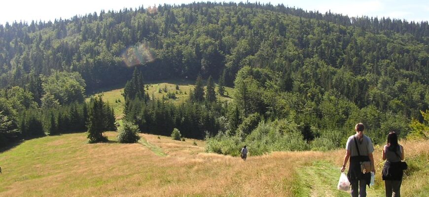Переваги сублімованого м’яса: ідеальний вибір для мандрівників