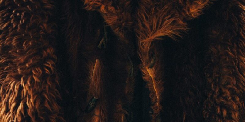 Що означає бачити шубу уві сні: тлумачення та значення сновидіння