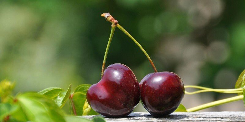 Що означає сон про поїдання черешні: тлумачення снів та символіка