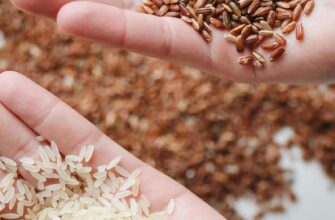 Оптимальний вибір рису для плову: шліфований чи нешліфований?
