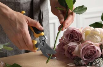 Як часто варто підстригати квіти: поради для здоров’я вашого саду