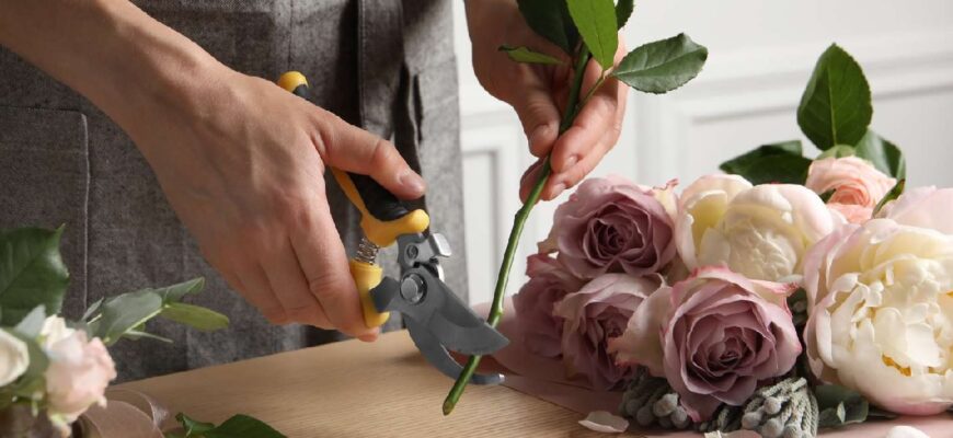 Як часто варто підстригати квіти: поради для здоров’я вашого саду