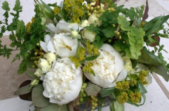 Оптимальні способи підживлення півоній після зими для гарного цвітіння