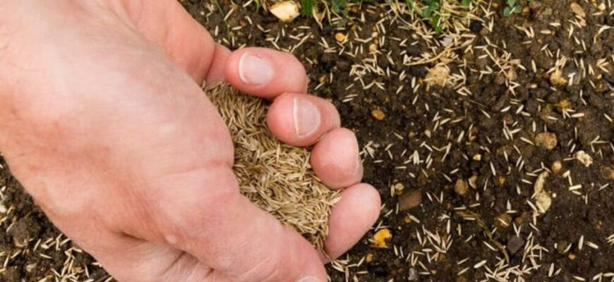 Оптимальний час для останнього осіннього косіння газону: коли краще це зробити