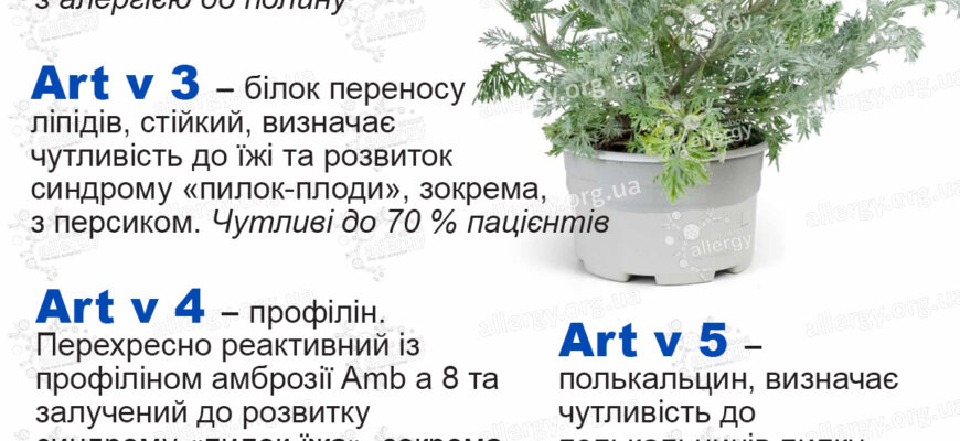 Як відрізнити полин від амброзії: поради та рекомендації експертів