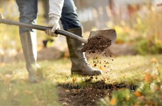 Ефективні засоби для осінньої обробки ґрунту від грибка