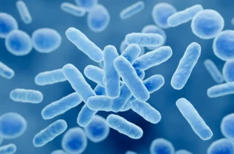 Топ-5 пробіотичних продуктів для здорового раціону: оптимізуйте харчування!