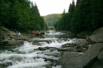 Які річки України беруть початок у горах: детальний огляд джерел