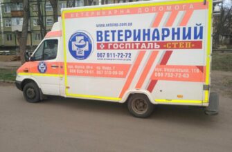 Екстрена швидка ветеринарна допомога: коли важлива кожна секунда