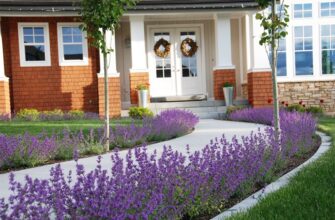 Оптимальні місця для посадки лаванди на вашій присадибній ділянці