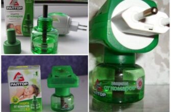 Чи безпечно залишати Раптор увімкненим на всю ніч: думка експертів