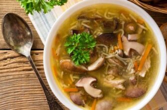 Як варити грибну юшку з сушених грибів: покроковий гід для новачків