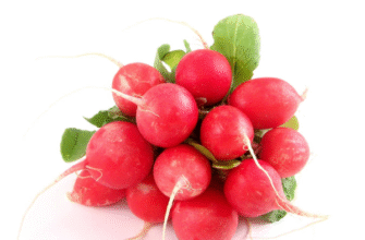Скільки редисок у пучку: оптимальна кількість для свіжості та смаку