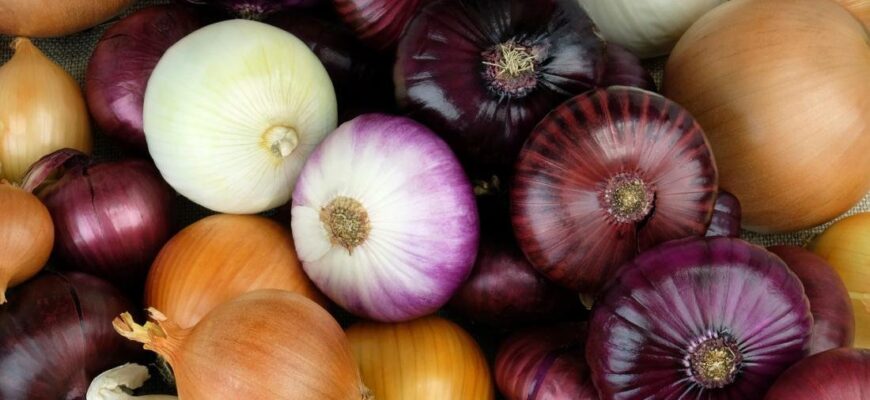 Чи можна їсти цибулю при цукровому діабеті: поради та рекомендації
