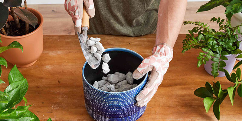 Чи варто класти каміння на дно горщика: міфи та реальність для рослин