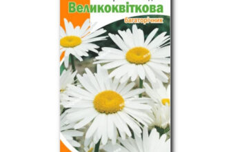 Як правильно називається садова ромашка: керівництво для садівників