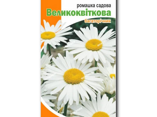 Як правильно називається садова ромашка: керівництво для садівників