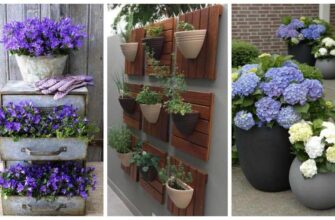 Чи реально вирощувати квіти в консервних банках: практичні поради