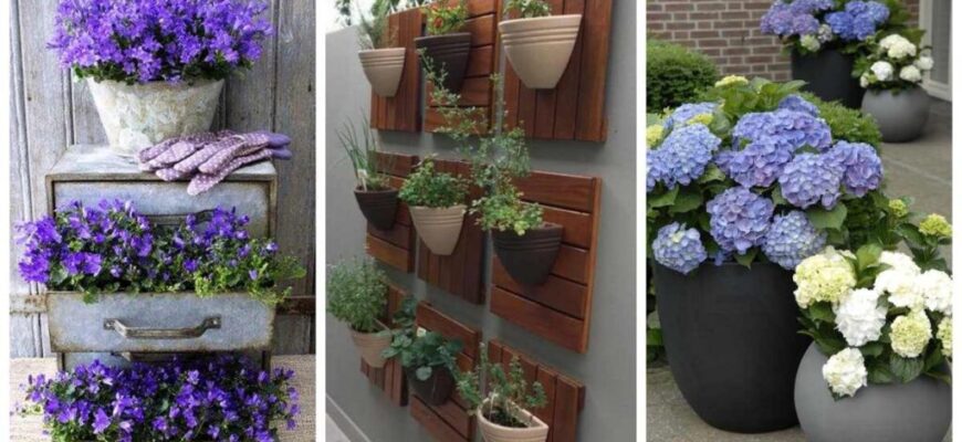 Чи реально вирощувати квіти в консервних банках: практичні поради