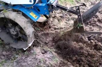 Як правильно садити картоплю під плуг: покрокова інструкція та поради