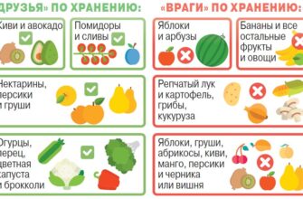 Найкращі способи та місця для зберігання овочів: поради експертів