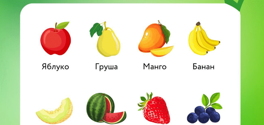 Що можна їсти йоркам: здорове харчування для вашого улюбленця