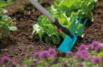 Навіщо рихлити ґрунт після поливу: ключові переваги та важливість