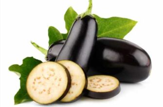 Як визначити стиглий баклажан: ключові ознаки для правильного вибору