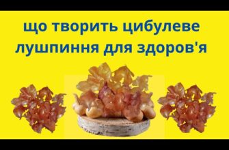 Як довго кип’ятити цибулеве лушпиння: оптимальний час та поради