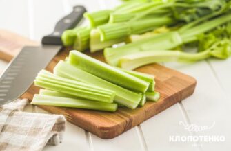 Селера як їсти: корисні поради та рецепти для здорового харчування