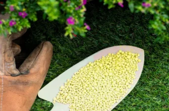 Як ефективно та безпечно користуватися колоїдною сіркою: поради та хитрощі