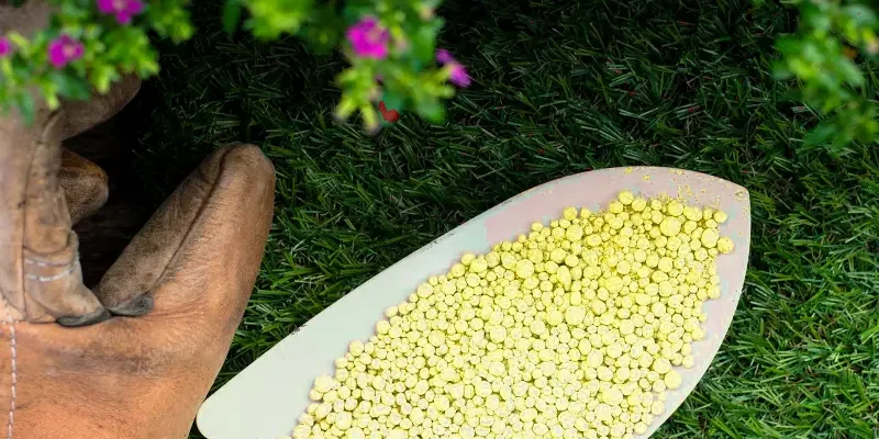 Як ефективно та безпечно користуватися колоїдною сіркою: поради та хитрощі