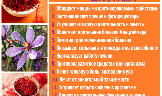 Корисні властивості пелюсток шафрану: здоров’я, краса та довголіття