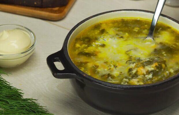 Кому протипоказаний щавлевий борщ: основні обмеження та поради