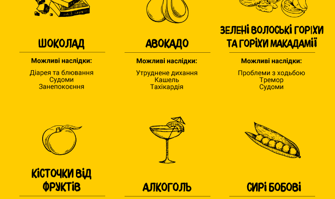 Що не можна їсти собакам: список заборонених продуктів для харчування