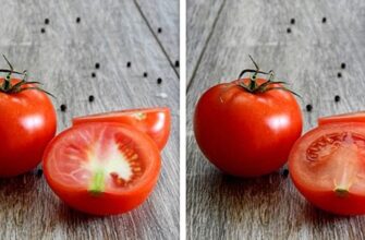 Ефективні методи вимочування помідорів для зменшення вмісту нітратів